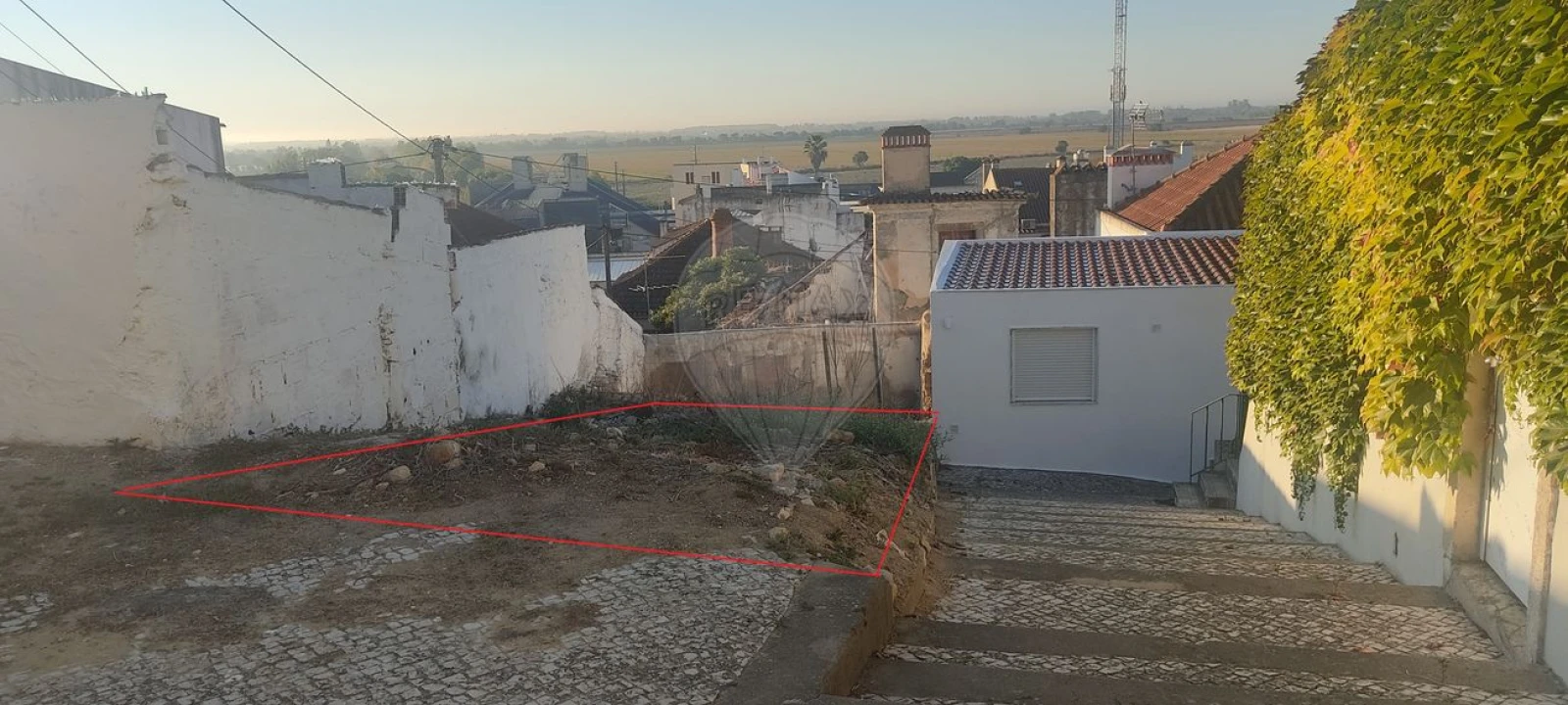 Prédio para Venda em Azambuja Foto 5