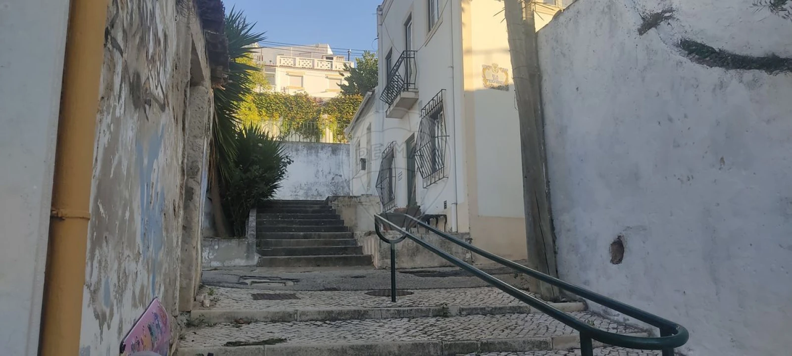 Prédio para Venda em Azambuja Foto 3