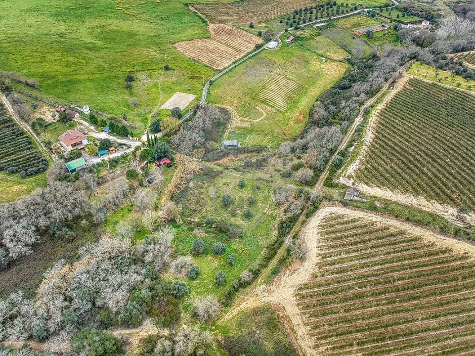Terreno para Venda em Achete, Azoia de Baixo e Póvoa de Santarém Foto 20