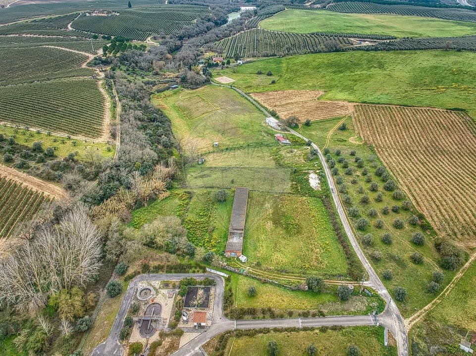 Terreno para Venda em Achete, Azoia de Baixo e Póvoa de Santarém Foto 15