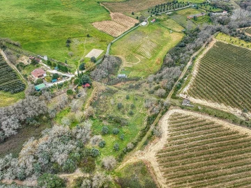 Terreno para Venda em Achete, Azoia de Baixo e Póvoa de Santarém