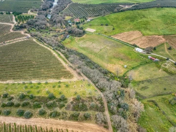 Terreno para Venda em Achete, Azoia de Baixo e Póvoa de Santarém