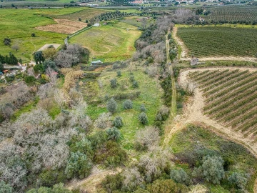Terreno para Venda em Achete, Azoia de Baixo e Póvoa de Santarém