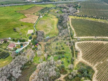 Terreno para Venda em Achete, Azoia de Baixo e Póvoa de Santarém