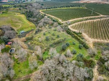 Terreno para Venda em Achete, Azoia de Baixo e Póvoa de Santarém