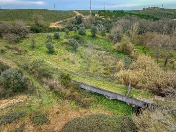 Terreno para Venda em Achete, Azoia de Baixo e Póvoa de Santarém