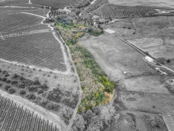 Terreno para Venda em Achete, Azoia de Baixo e Póvoa de Santarém