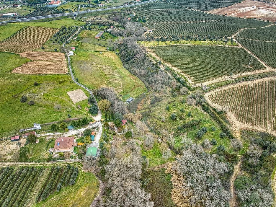 Terreno para Venda em Achete, Azoia de Baixo e Póvoa de Santarém Foto 18