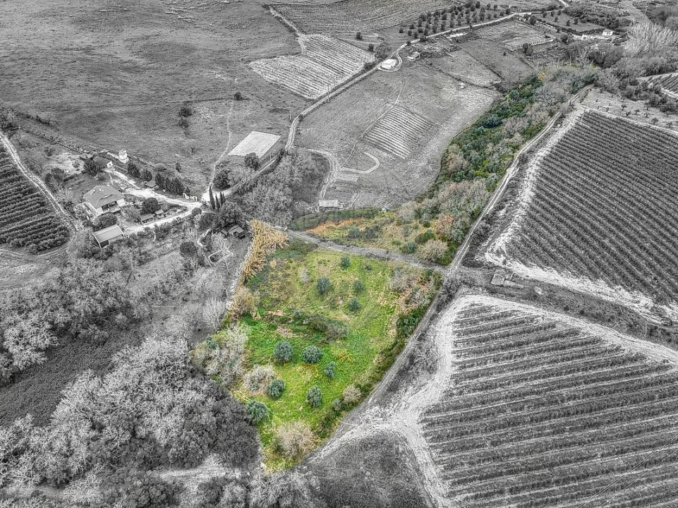 Terreno para Venda em Achete, Azoia de Baixo e Póvoa de Santarém Foto 21