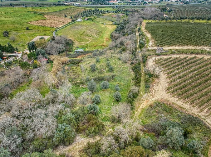 Terreno para Venda em Achete, Azoia de Baixo e Póvoa de Santarém Foto 9