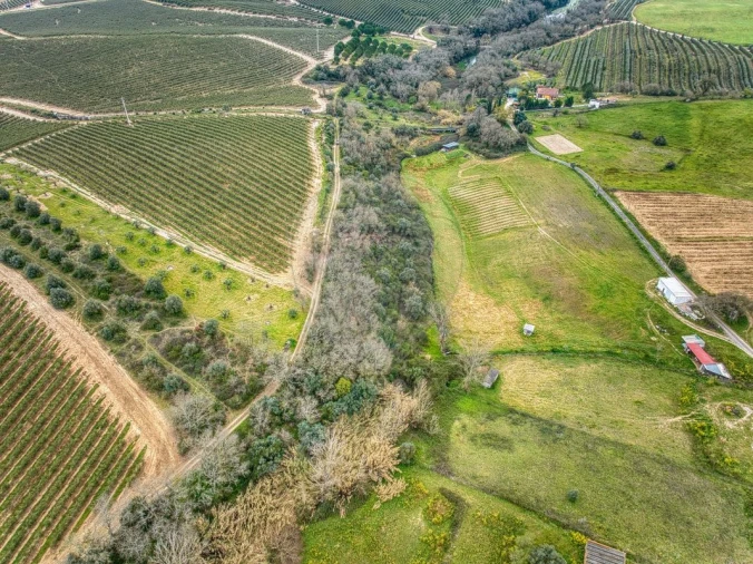 Terreno para Venda em Achete, Azoia de Baixo e Póvoa de Santarém Foto 13