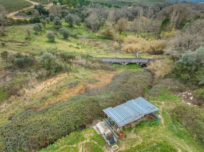Terreno para Venda em Achete, Azoia de Baixo e Póvoa de Santarém Foto 5