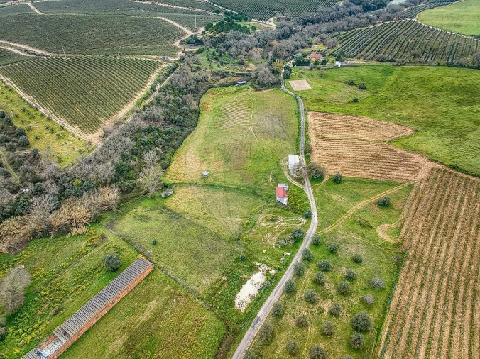 Terreno para Venda em Achete, Azoia de Baixo e Póvoa de Santarém Foto 2