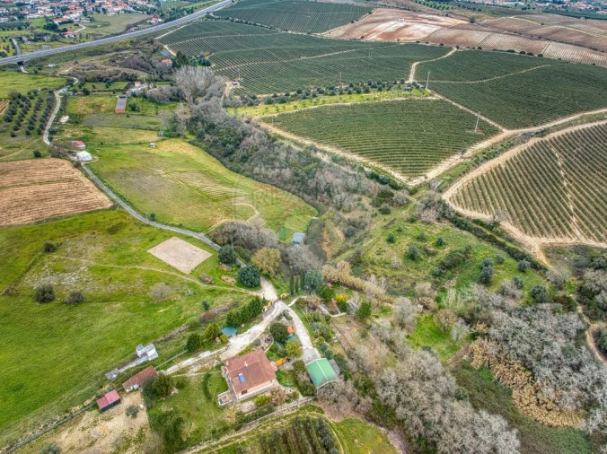 Terreno para Venda em Achete, Azoia de Baixo e Póvoa de Santarém Foto 17