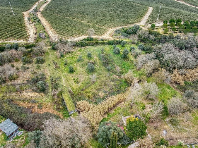 Terreno para Venda em Achete, Azoia de Baixo e Póvoa de Santarém Foto 7