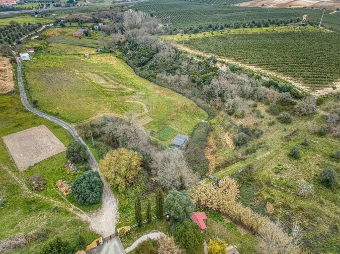 Terreno para Venda em Achete, Azoia de Baixo e Póvoa de Santarém Foto 6