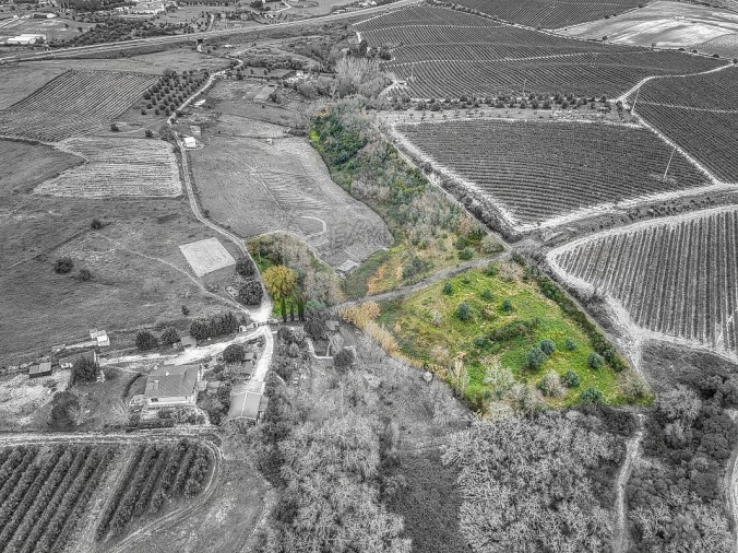 Terreno para Venda em Achete, Azoia de Baixo e Póvoa de Santarém Foto 3