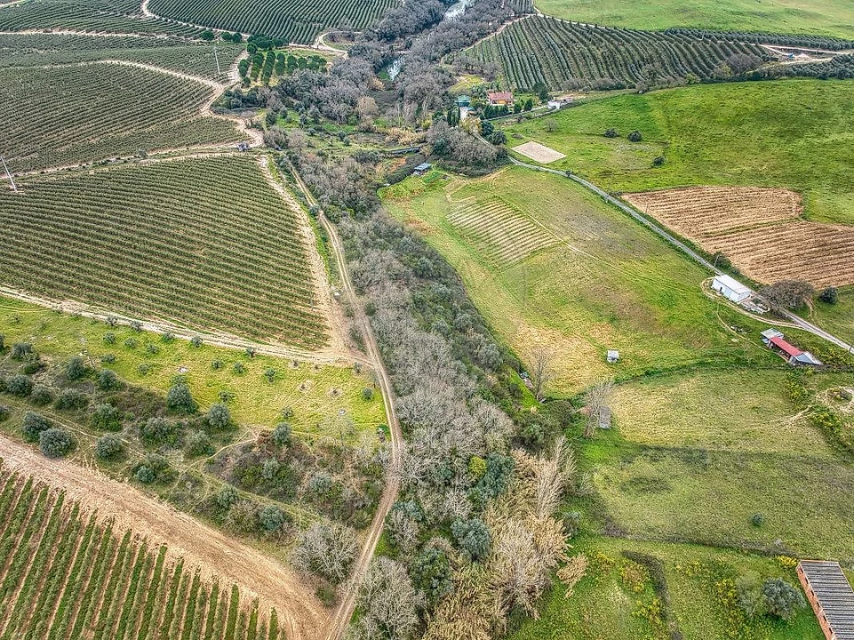 Terreno para Venda em Achete, Azoia de Baixo e Póvoa de Santarém Foto 11