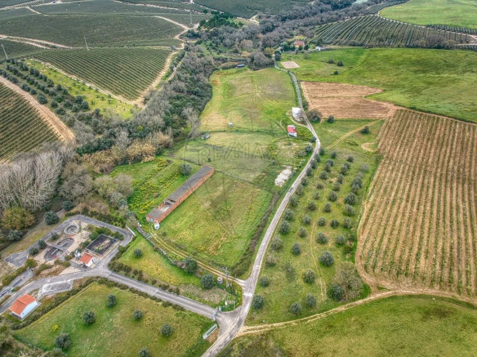 Terreno para Venda em Achete, Azoia de Baixo e Póvoa de Santarém Foto 16