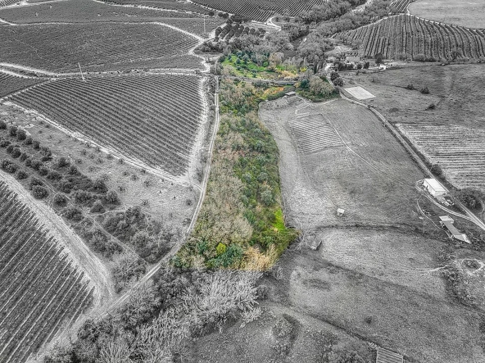 Terreno para Venda em Achete, Azoia de Baixo e Póvoa de Santarém Foto 14