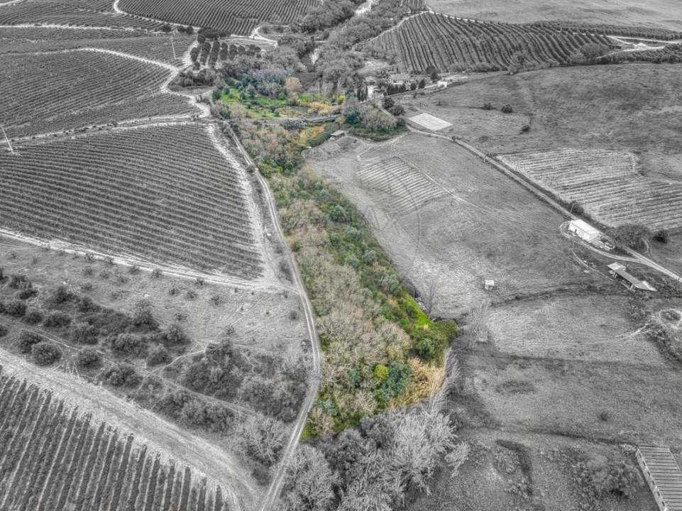Terreno para Venda em Achete, Azoia de Baixo e Póvoa de Santarém Foto 12