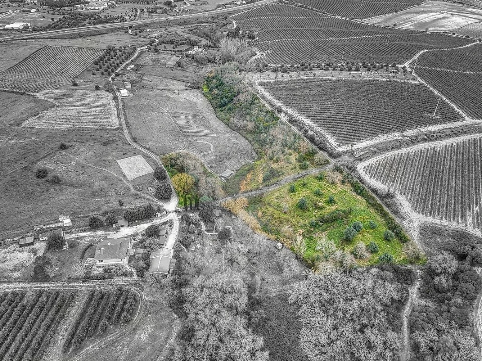 Terreno para Venda em Achete, Azoia de Baixo e Póvoa de Santarém Foto 3