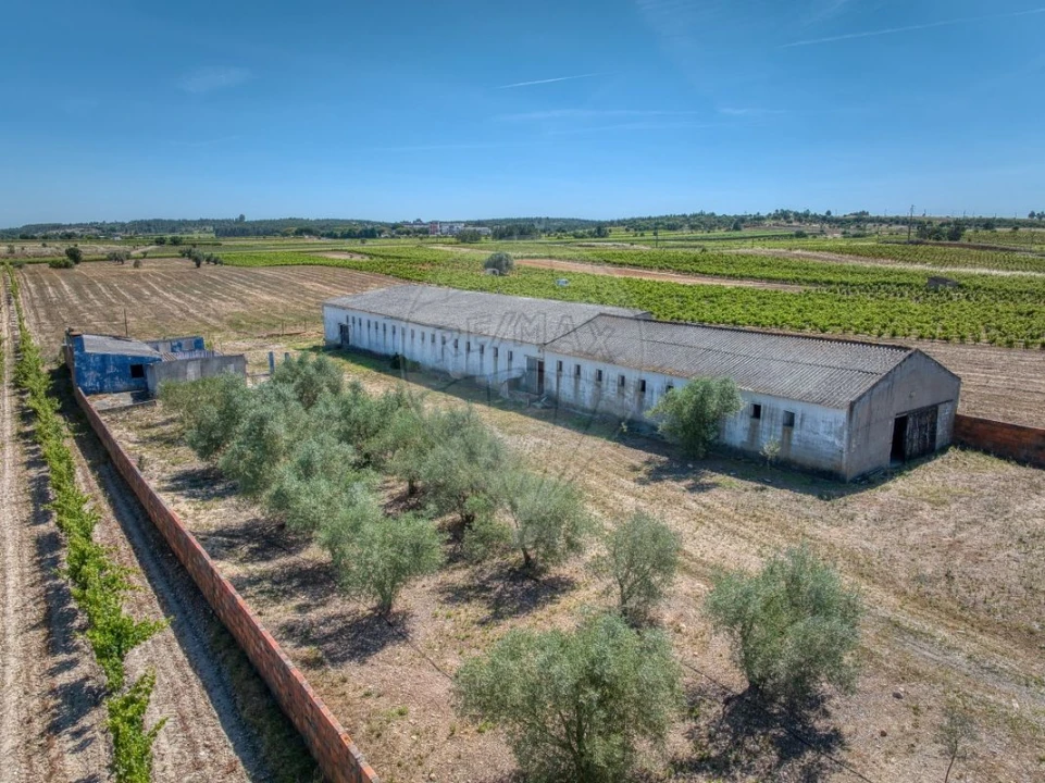 Armazém para Venda em Alpiarça Foto 12