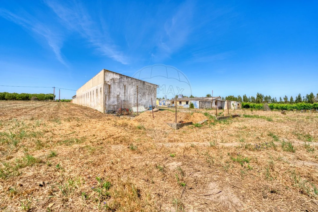 Armazém para Venda em Alpiarça Foto 28