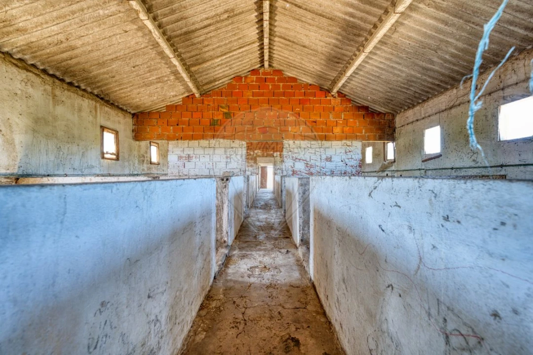 Armazém para Venda em Alpiarça Foto 19