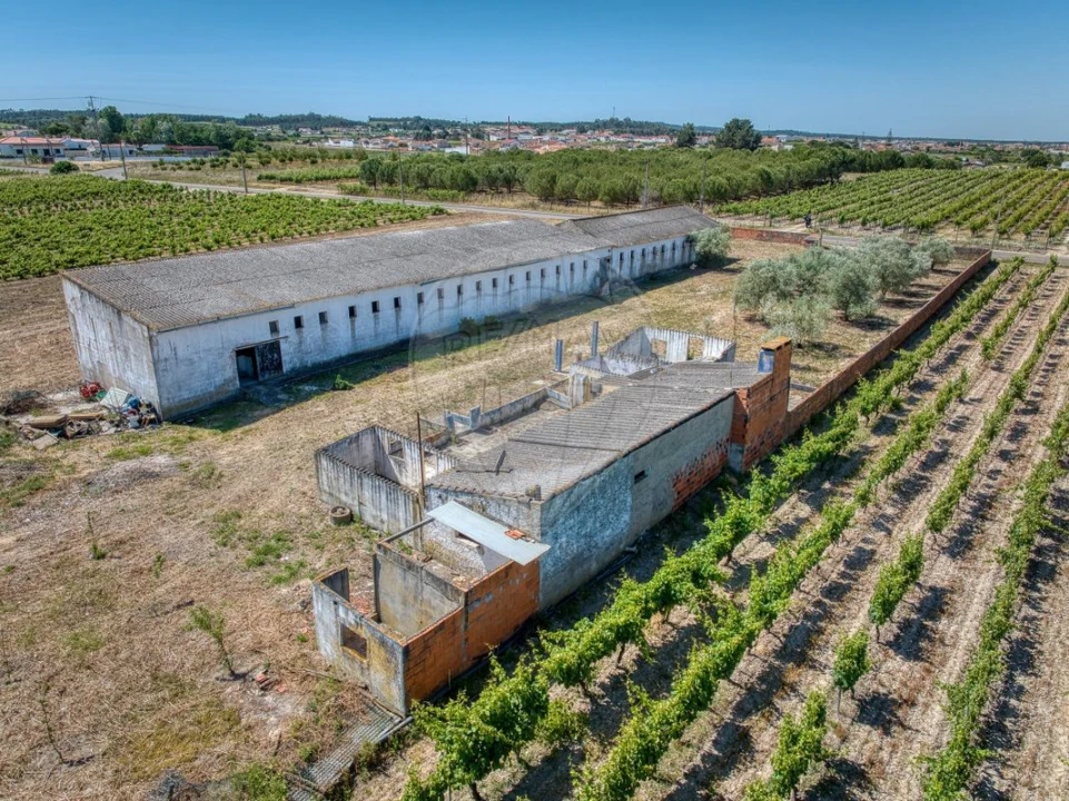 Armazém para Venda em Alpiarça Foto 8