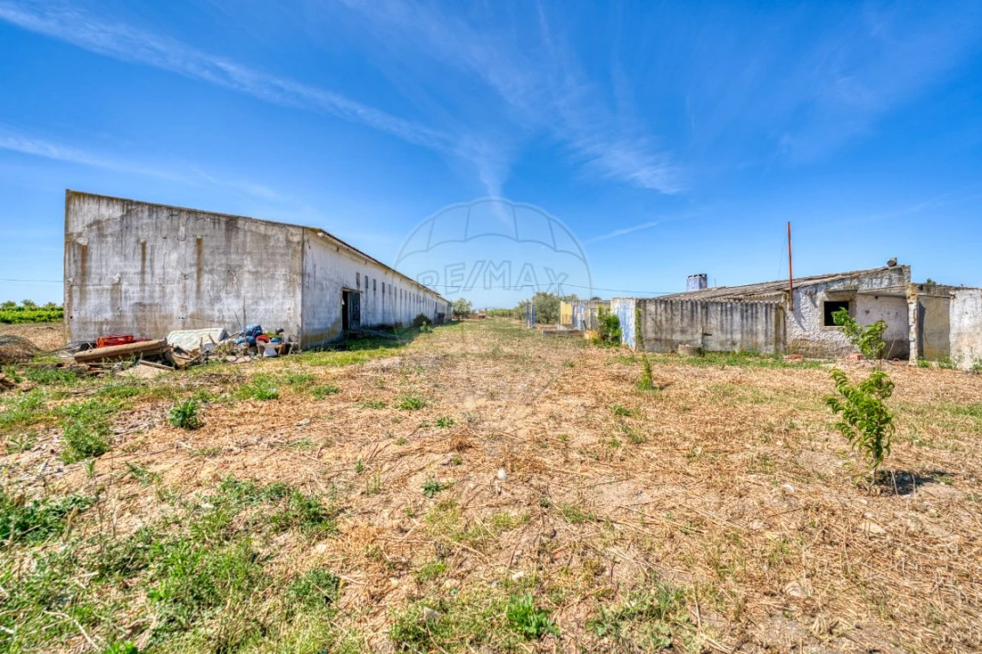Armazém para Venda em Alpiarça Foto 27
