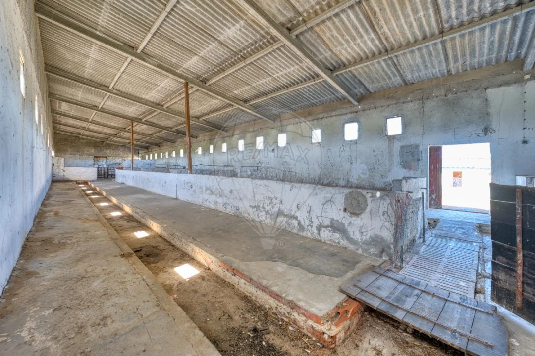 Armazém para Venda em Alpiarça Foto 24