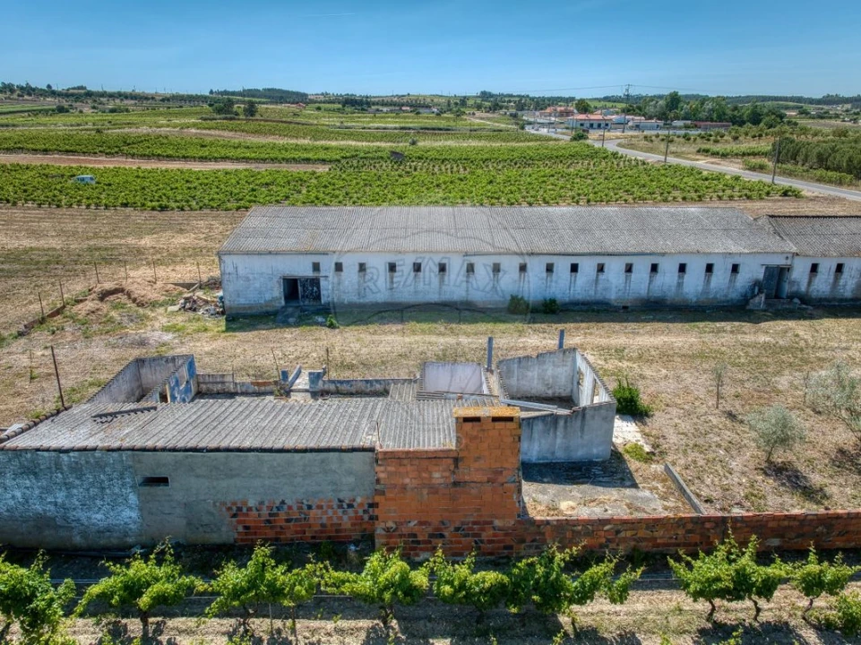 Armazém para Venda em Alpiarça Foto 9