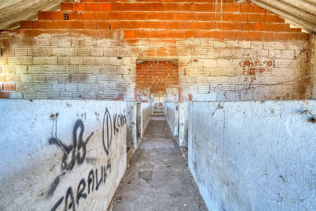 Armazém para Venda em Alpiarça Foto 16