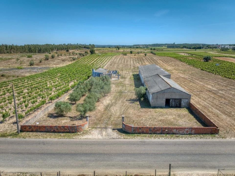 Armazém para Venda em Alpiarça Foto 10