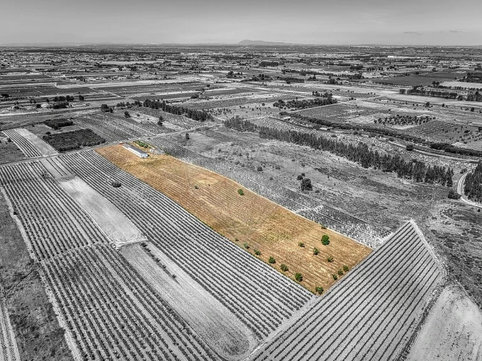 Armazém para Venda em Alpiarça Foto 3