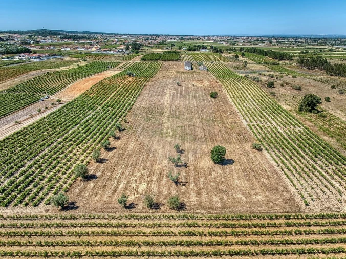 Armazém para Venda em Alpiarça Foto 5