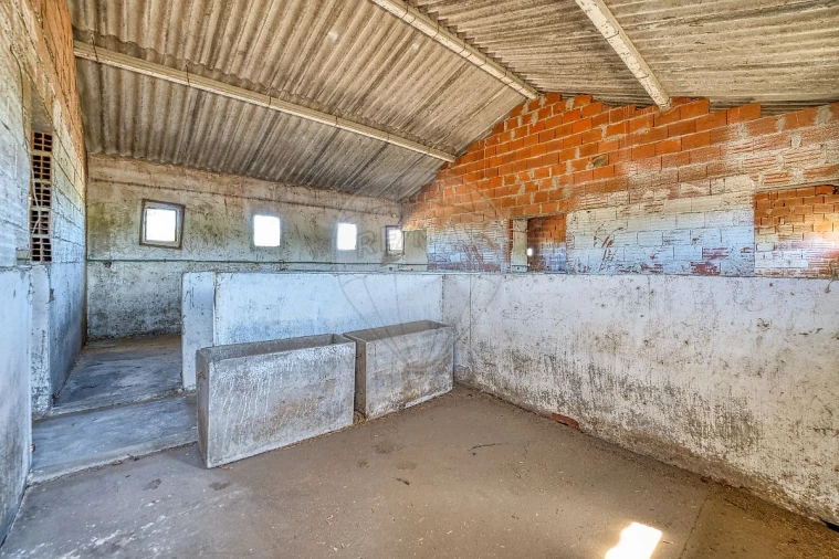 Armazém para Venda em Alpiarça Foto 17