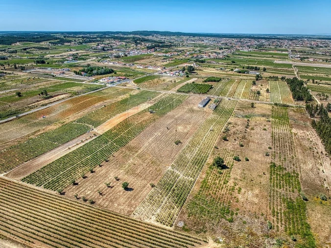 Armazém para Venda em Alpiarça Foto 4