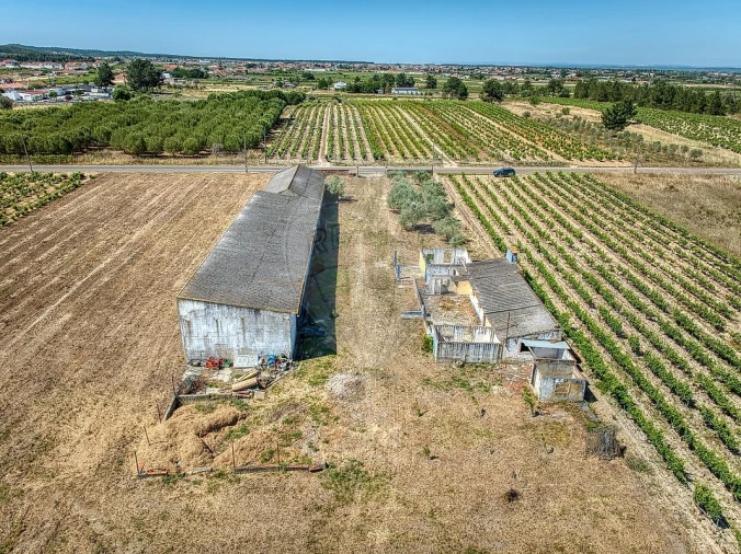 Armazém para Venda em Alpiarça Foto 6