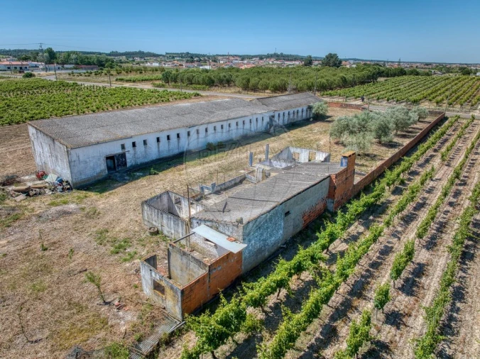 Armazém para Venda em Alpiarça Foto 8