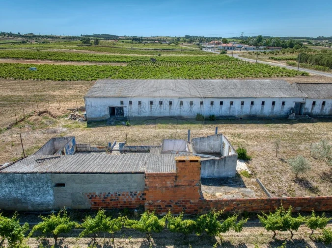 Armazém para Venda em Alpiarça Foto 9