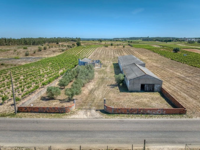 Armazém para Venda em Alpiarça Foto 10