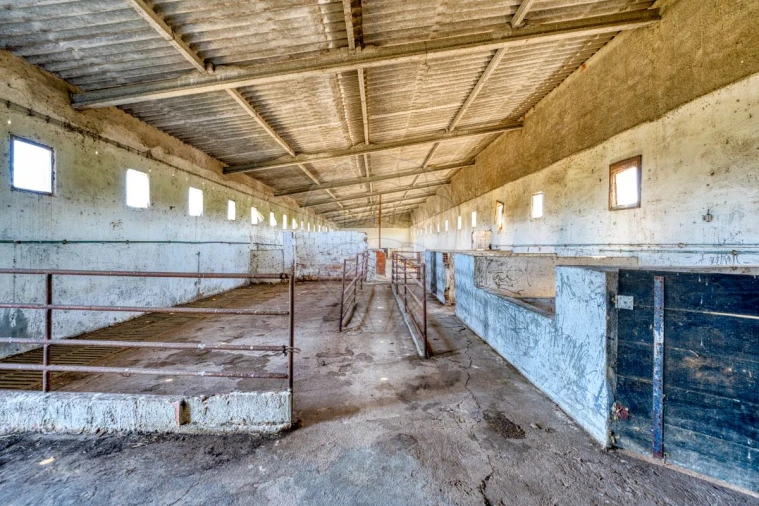 Armazém para Venda em Alpiarça Foto 18