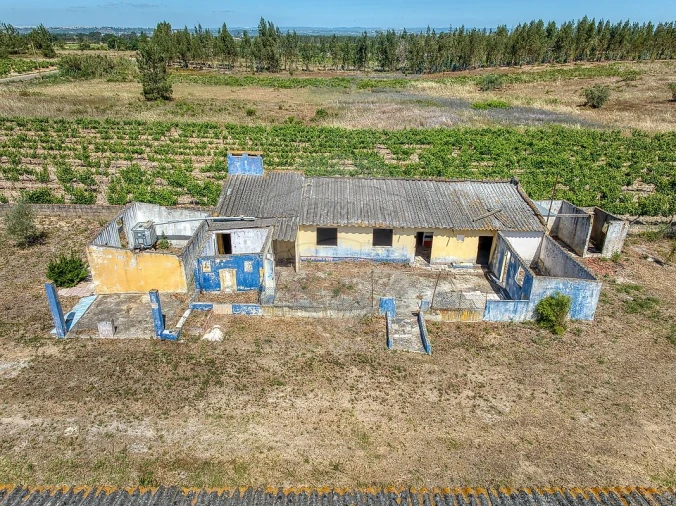 Armazém para Venda em Alpiarça Foto 13