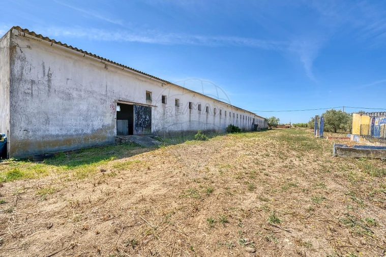 Armazém para Venda em Alpiarça Foto 26