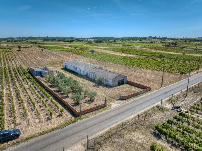 Armazém para Venda em Alpiarça Foto 1