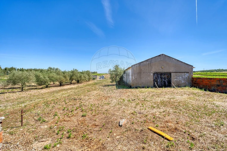 Armazém para Venda em Alpiarça Foto 31