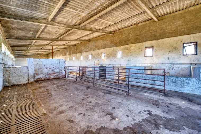 Armazém para Venda em Alpiarça Foto 20