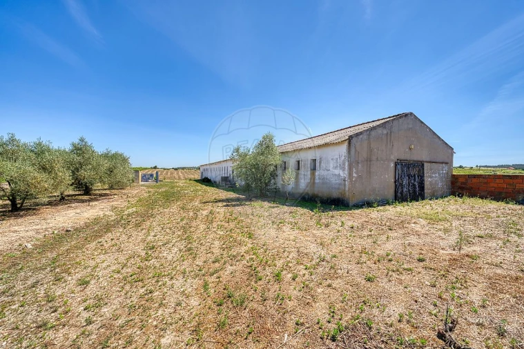 Armazém para Venda em Alpiarça Foto 29